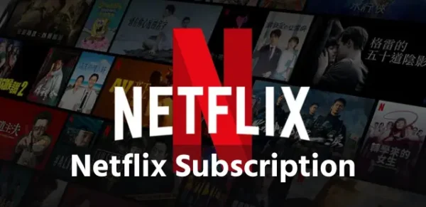 Netflix Subscription