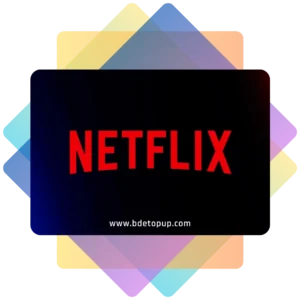 Netflix Subscription BD